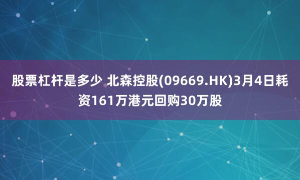股票杠杆是多少 北森控股(09669.HK)3月4日耗资161万港元回购30万股