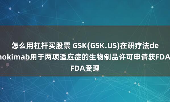 怎么用杠杆买股票 GSK(GSK.US)在研疗法depemokimab用于两项适应症的生物制品许可申请获FDA受理