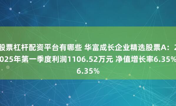 股票杠杆配资平台有哪些 华富成长企业精选股票A：2025年第一季度利润1106.52万元 净值增长率6.35%