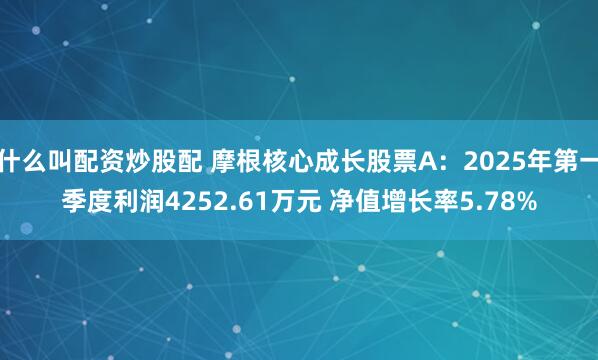 什么叫配资炒股配 摩根核心成长股票A：2025年第一季度利润4252.61万元 净值增长率5.78%