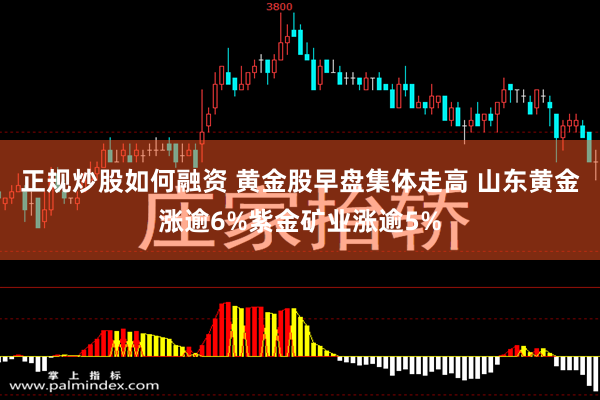 正规炒股如何融资 黄金股早盘集体走高 山东黄金涨逾6%紫金矿业涨逾5%