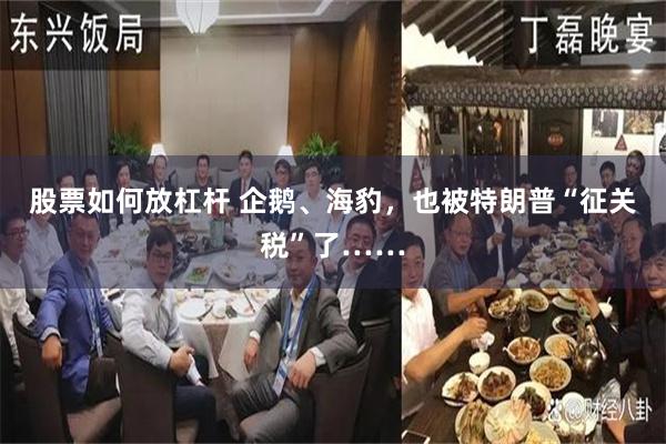 股票如何放杠杆 企鹅、海豹，也被特朗普“征关税”了……