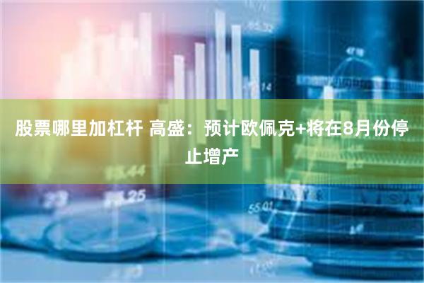 股票哪里加杠杆 高盛:预计欧佩克+将在8月份停止增产
