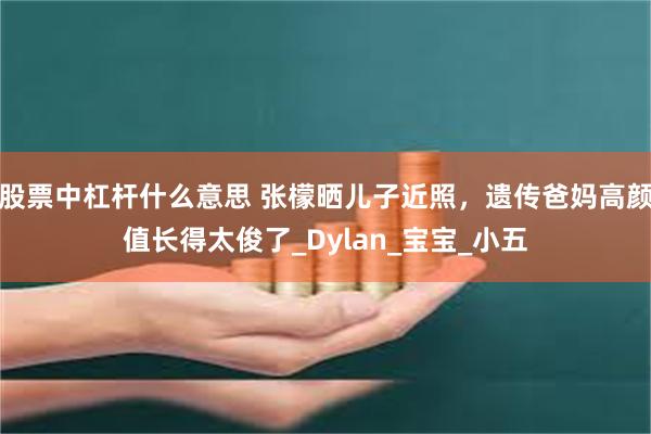 股票中杠杆什么意思 张檬晒儿子近照，遗传爸妈高颜值长得太俊了_Dylan_宝宝_小五