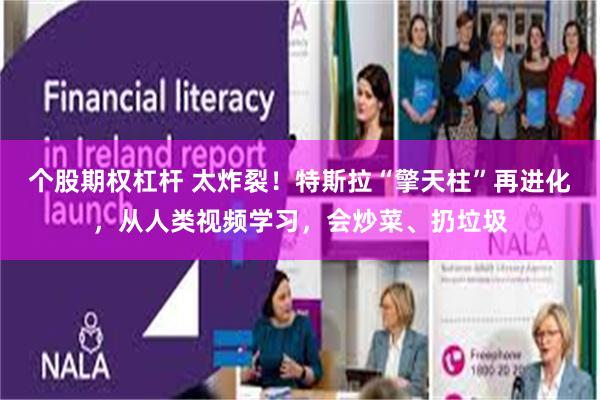 个股期权杠杆 太炸裂！特斯拉“擎天柱”再进化，从人类视频学习，会炒菜、扔垃圾