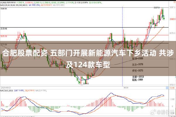 合肥股票配资 五部门开展新能源汽车下乡活动 共涉及124款车型