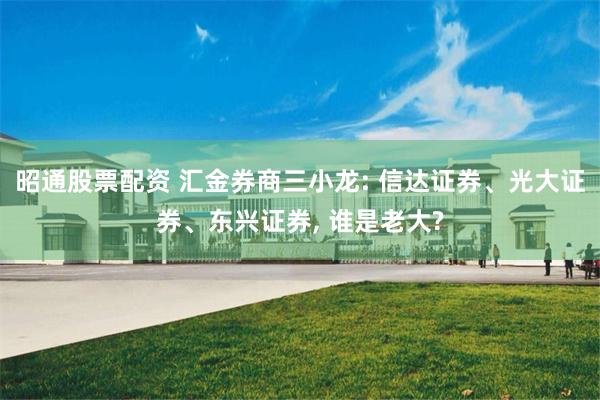 昭通股票配资 汇金券商三小龙: 信达证券、光大证券、东兴证券, 谁是老大?