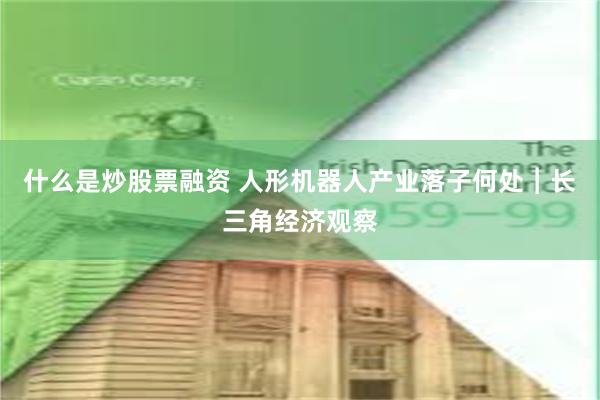 什么是炒股票融资 人形机器人产业落子何处︱长三角经济观察